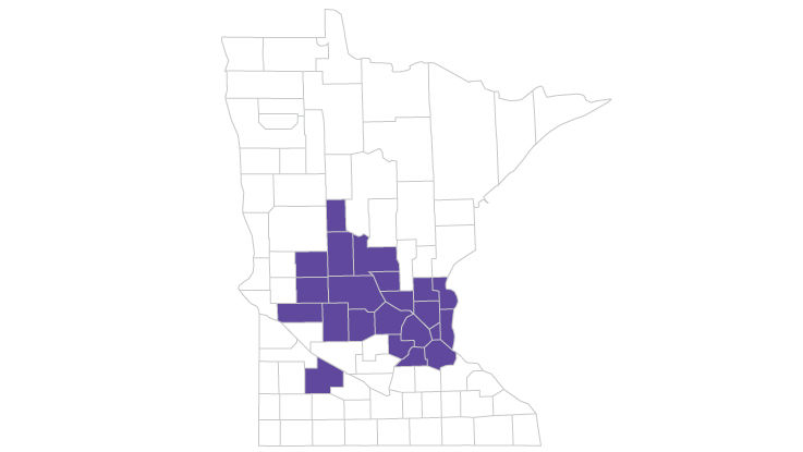 Journey Metro-Central plans are available in these Minnesota counties: Anoka, Benton, Carver, Chisago, Dakota, Douglas, Hennepin, Isanti, Kandiyohi, Meeker, Morrison, Pope, Ramsey, Redwood, Scott, Sherburne, Stearns, Swift, Todd, Wadena, Washington and Wright.