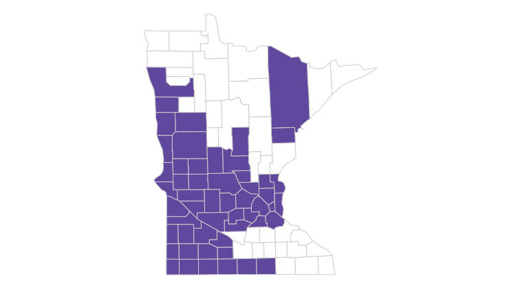 Apex network available in these Minnesota counties: Anoka, Becker, Benton, Big Stone, Brown, Carlton, Carver, Chippewa, Chisago, Clay, Cottonwood, Crow Wing, Dakota, Douglas, Faribault, Freeborn, Grant, Hennepin, Isanti, Jackson, Kandiyohi, Lac qui Parle, Lincoln, Lyon, Martin, McLeod, Morrison, Murray, Nobles, Norman, Otter Tail, Pipestone, Polk, Pope, Ramsey, Redwood, Renville, Rock, Scott, Sherburne, Sibley, Stearns, Stevens, St. Louis, Swift, Todd, Traverse, Watonwan, Washington, Wilkin, Wright and Yellow Medicine.