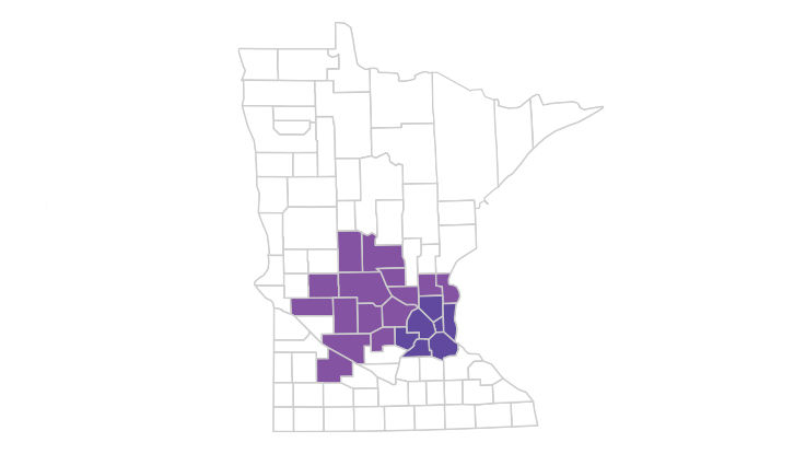 Our HealthPartners® Journey Pace (PPO) plan is available in these Minnesota counties: Anoka, Benton, Carver, Chisago, Dakota, Hennepin, Isanti, Kandiyohi, McLeod, Meeker, Morrison, Pope, Ramsey, Redwood, Renville, Scott, Sherburne, Stearns, Swift, Todd, Washington and Wright.