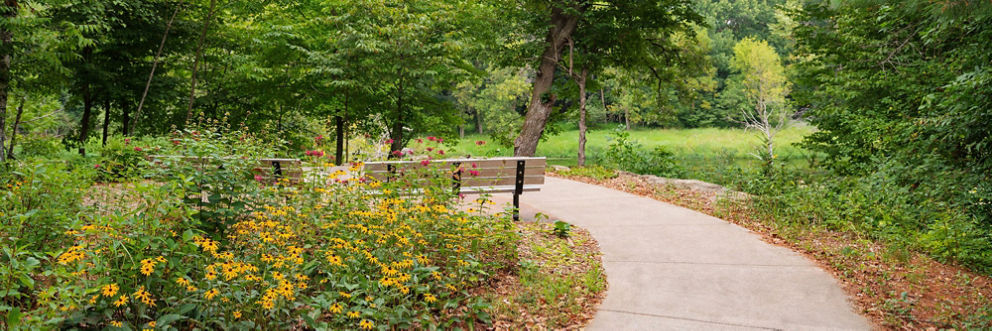 Two benches sit surrounded by flowers at a bend in the Amery Hospital & Clinic’s nature trail.