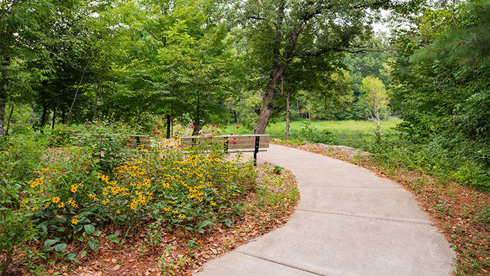 The garden space at Amery