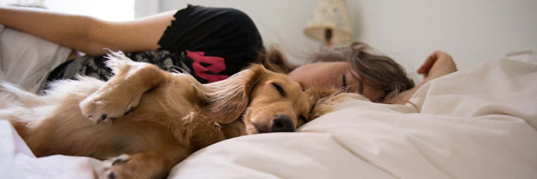 Woman with post-COVID fatigue snuggles with puppy in bed.