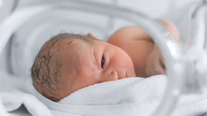 An infant lies comfortably inside a baby incubator.