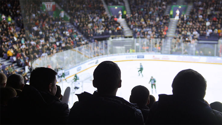 Adolescent boys in the stands at a hockey game.