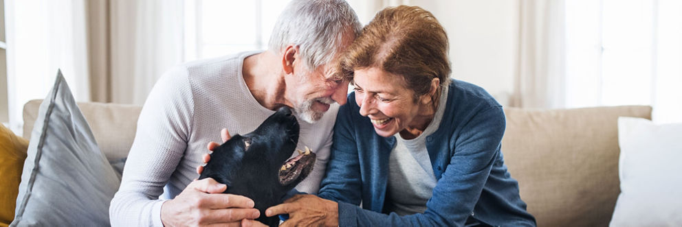 An older couple sitting on the couch together pets their happy black dog.