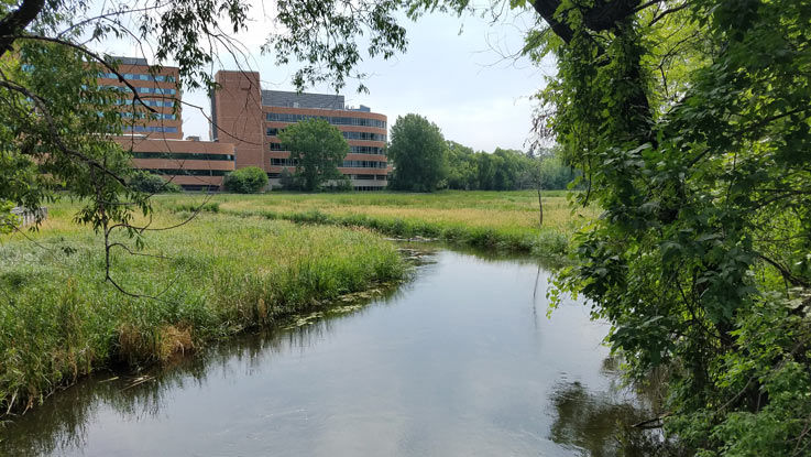 A creek winds through a marsh behind a few office buildings.